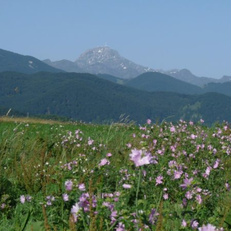Week-end Terrestre et Céleste : Pic du Midi et Gouffre d’Esparros