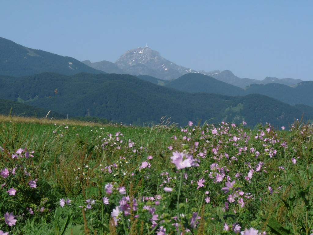 Week-end Terrestre et Céleste : Pic du Midi et Gouffre d’Esparros