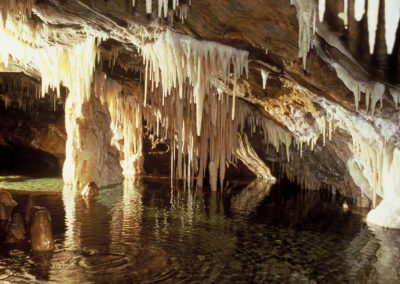 La salle du lac