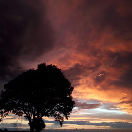 Coucher de Soleil au Coeur des Pyrénées Arbre - Crédit OTcP