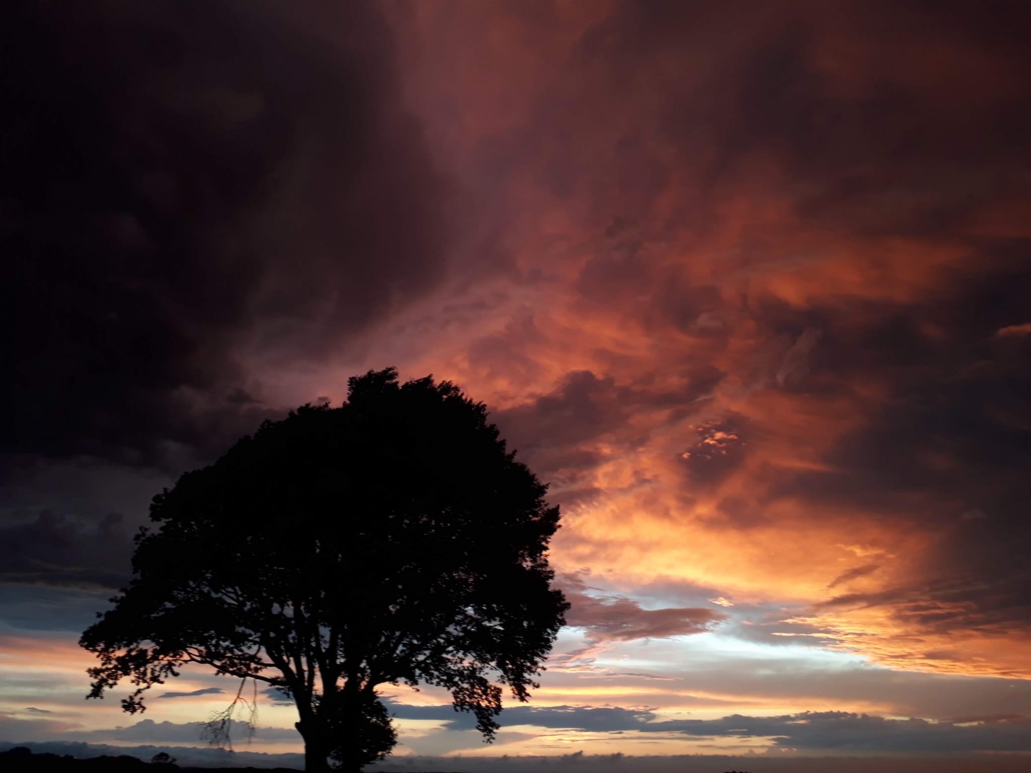 Coucher de Soleil au Coeur des Pyrénées Arbre - Crédit OTcP