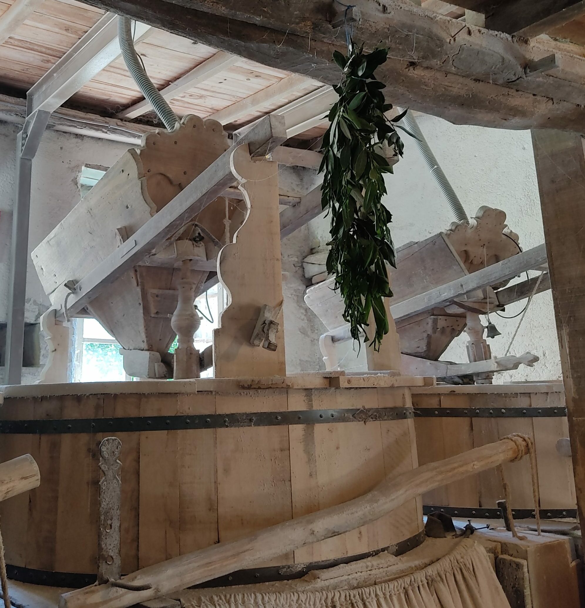 Moulin de la Ribère - Mauvezin (65) Trémie et feuilles de laurier - OTcP