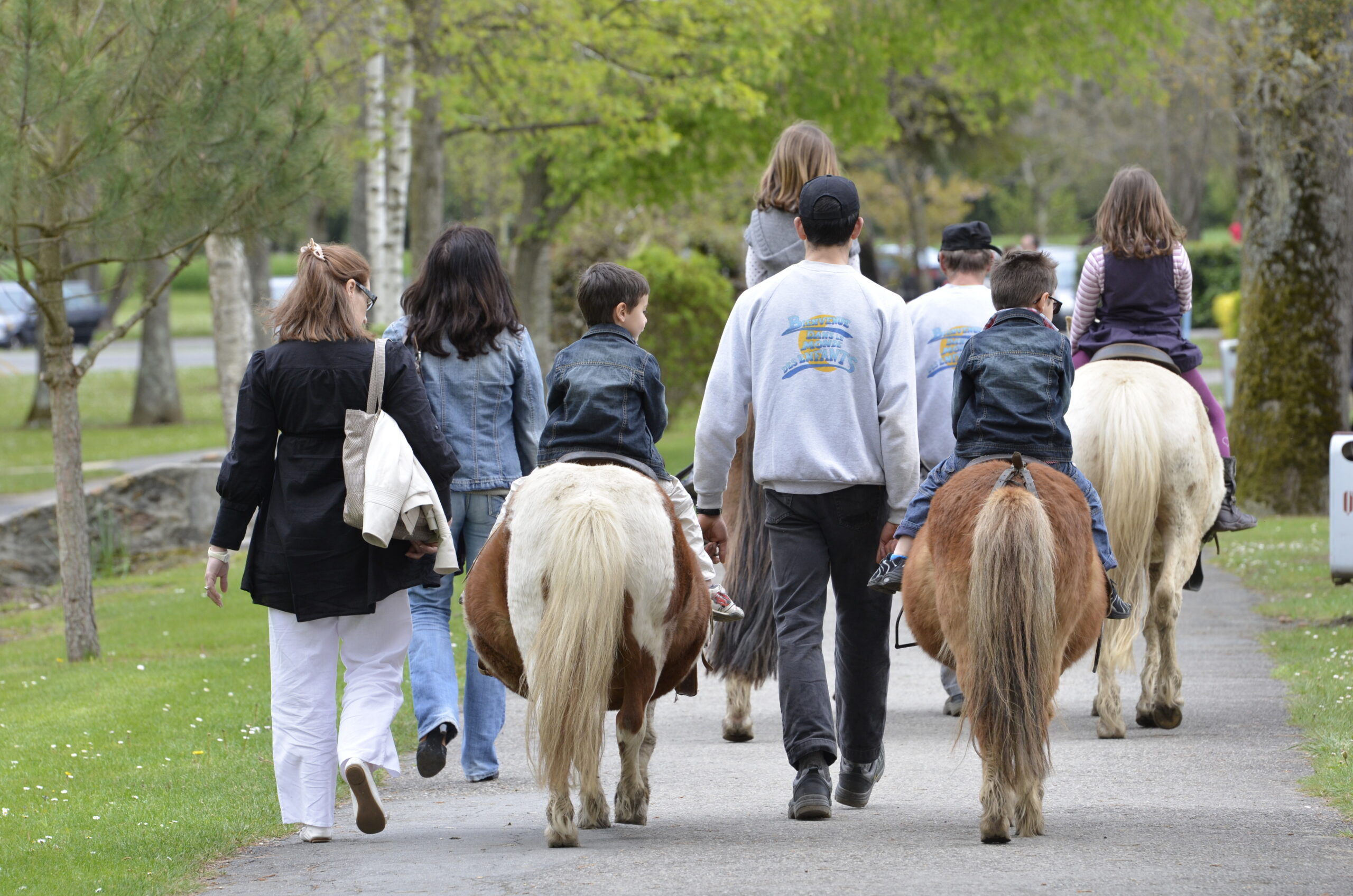 Parc de la demi-lune poney