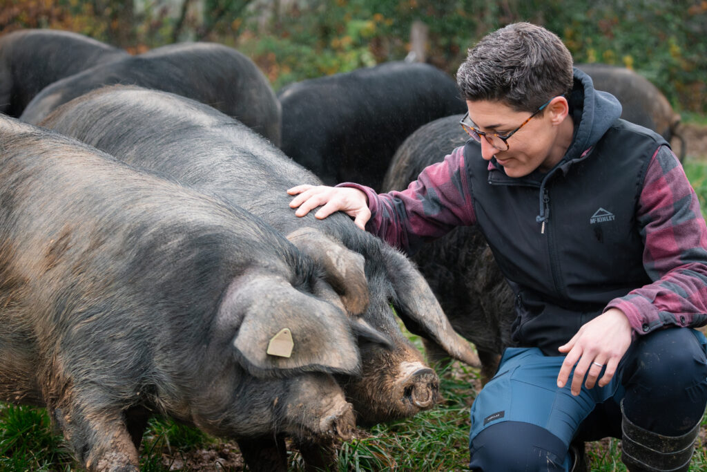Porc Noir de Bigorre Maison Souloum - Crédit Oiseau Bondissant