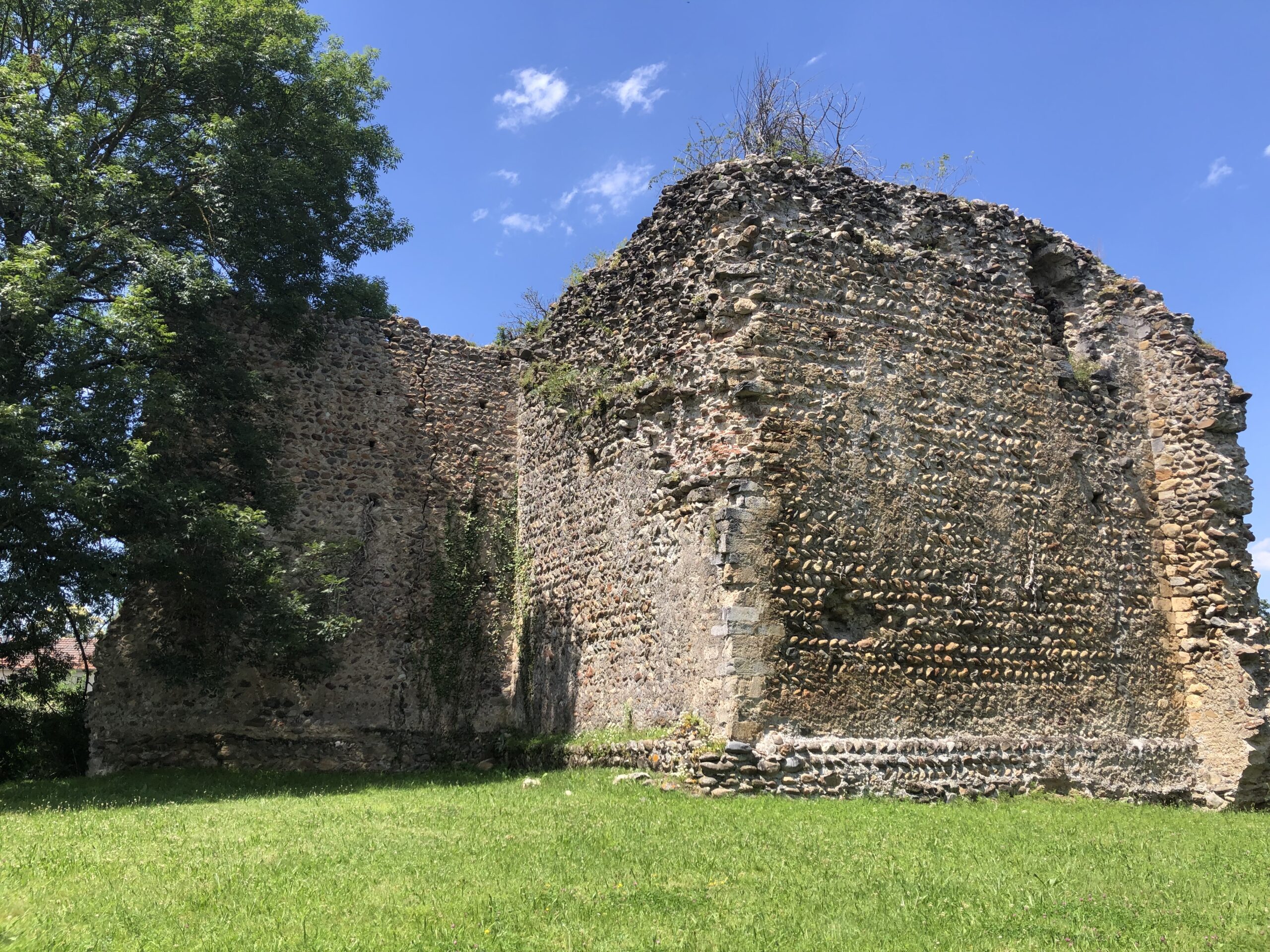 Château de La Barthe Vestiges du château de La Barthe-de-Neste
